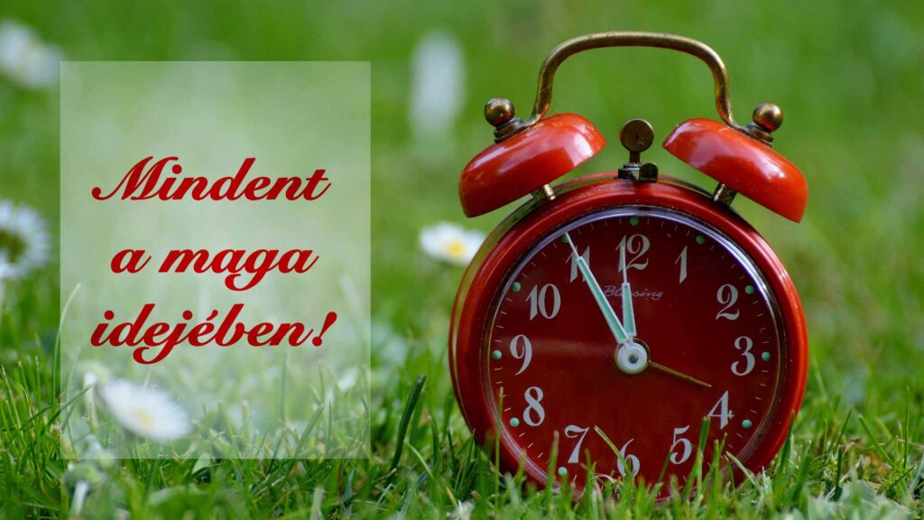 mindent a maga idejeben - WellVital