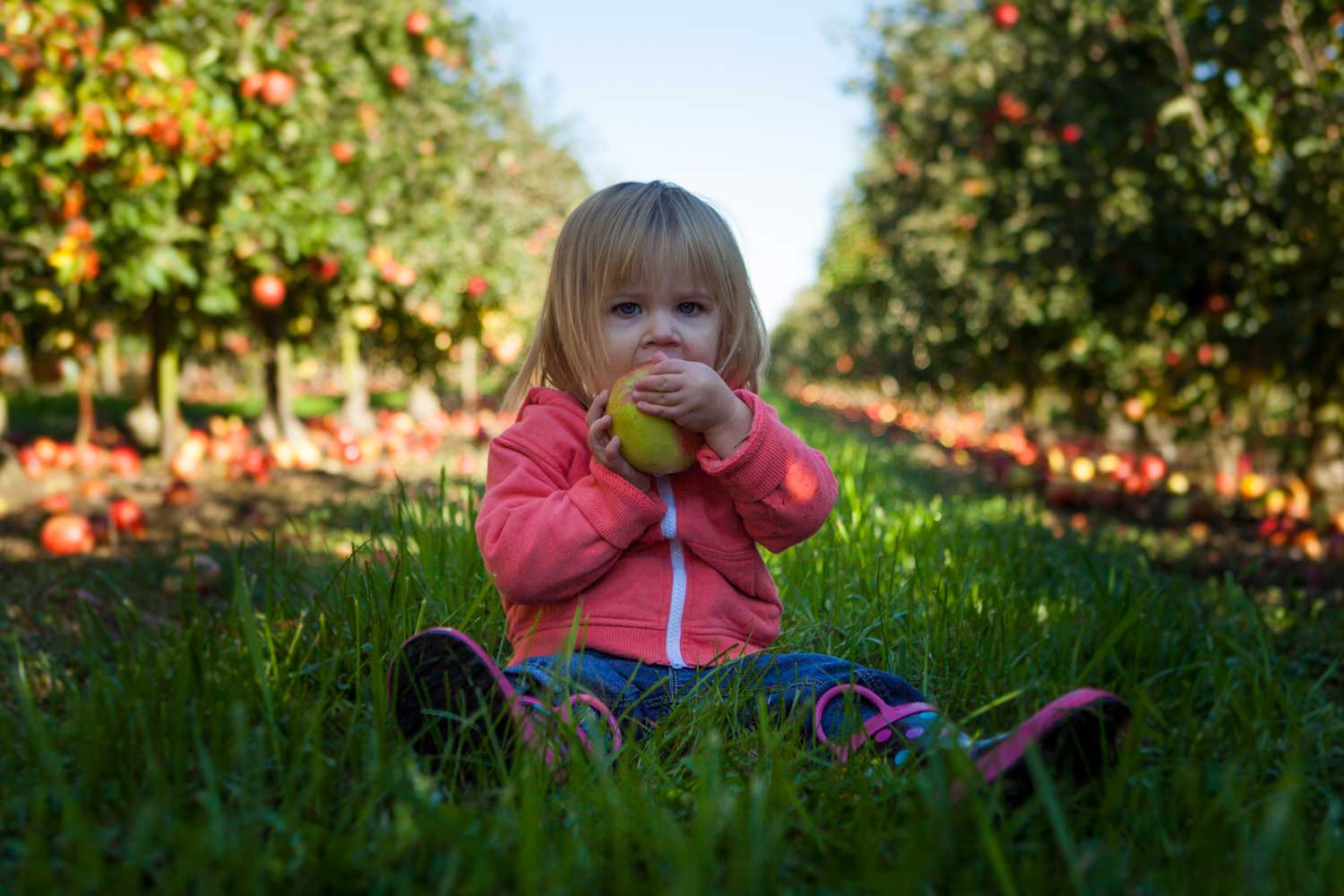 naponta egy alma az orvost tavoltartja - WellVital