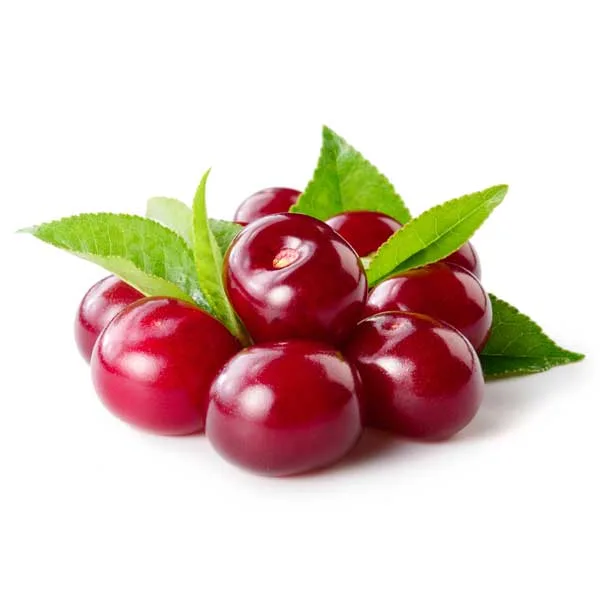 Meggy jpg - WellVital